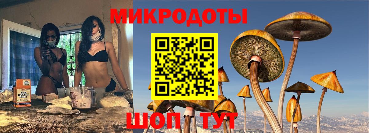 Галлюциногенные грибы MAGIC MUSHROOMS Кимовск