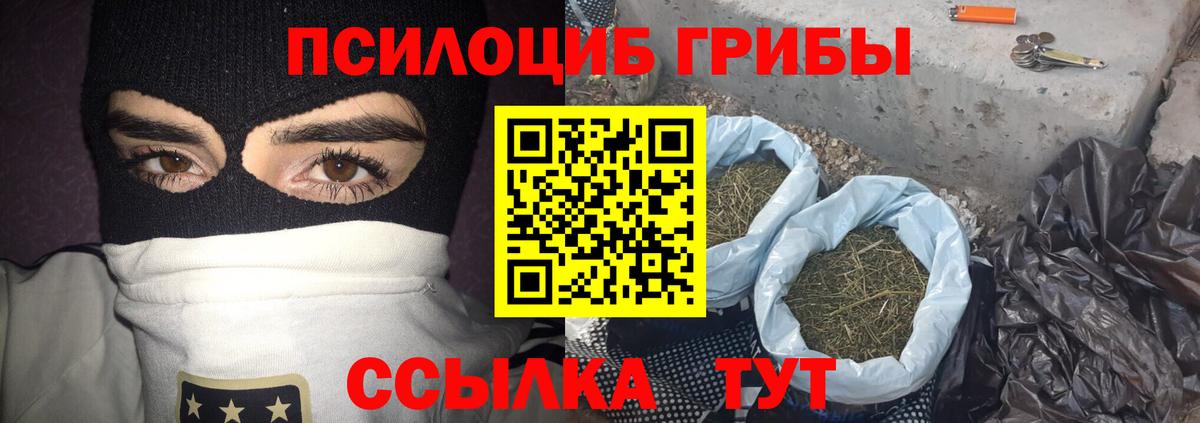 Кимовск  Галлюциногенные грибы Psilocybine cubensis  Вход с VPN 